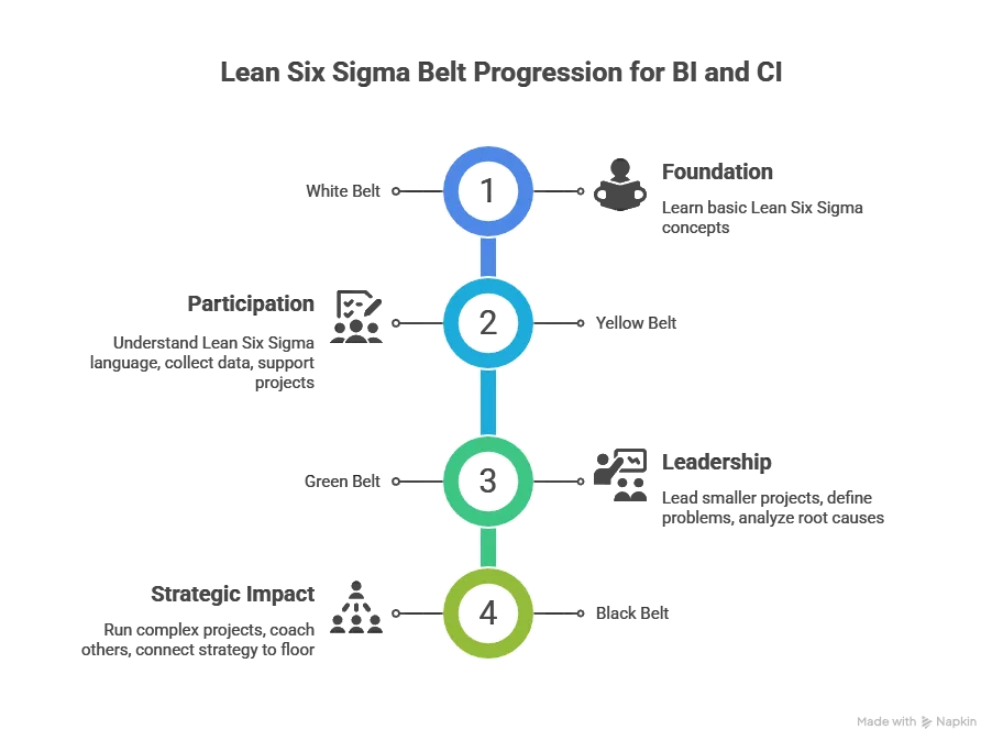 Lean Six Sigma business intelligence belt progression from white belt to black belt